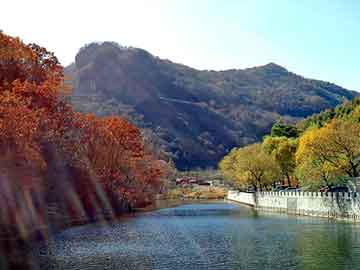 奥门天天开奖免费资料，松香报价